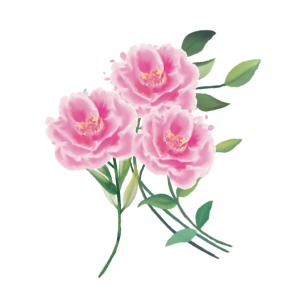 Pink rose bouquet png, floral bouquet png, pink floral arrangement, pink rose png, vintage rose png, rose design, pink flower