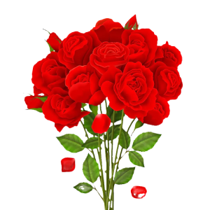 Red Roses Bouquet, bouquet of rose, love, Rose Arranging, Rose png, Lovely Red Rose