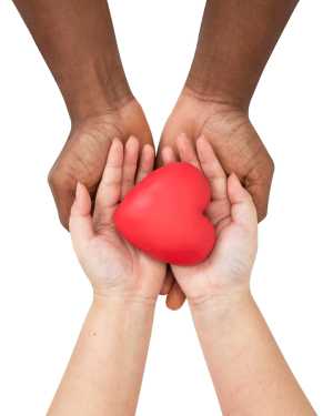 Hands holding red heart png, world health day png, health care png, family insurance png, world heart day png, love