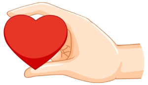 Hand holding heart png, heart holding illustration, human holding heart, love heart