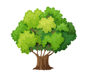 Green tree png, transparent tree png, cartoon tree png, tree clipart, plant Stem png, green tree illustration