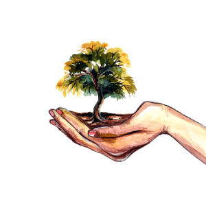 Hand holding tree png, agriculture illustration, growth illustration png, growing tree png, organic background transparent, watercolour tree png, tree leaves png image, organic leaf png
