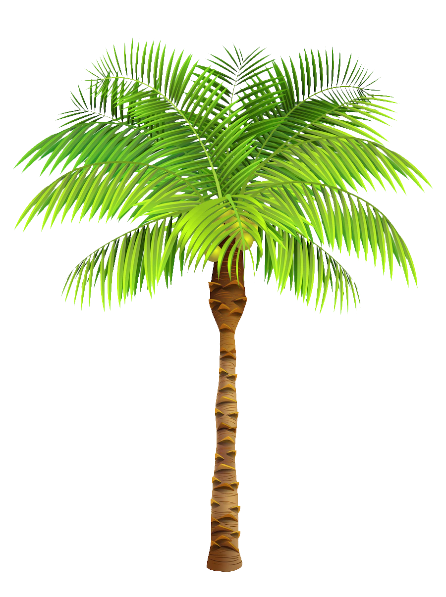 Palm tree png, palm tree png image, palm tree png cartoon, beach palm tree png, palm tree with transparent background, download palm tree png
