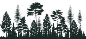 Pine forest png silhouette, pine forest png, pine forest png transparent, pine tree png vector, pine tree png silhouette, black palm tree png, pine tree forest png, forest tree png