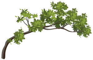 Tree branch png, tree illustration png, cartoon tree branch, tree clipart, tree branch clipart, forest trees png, vector tree branch