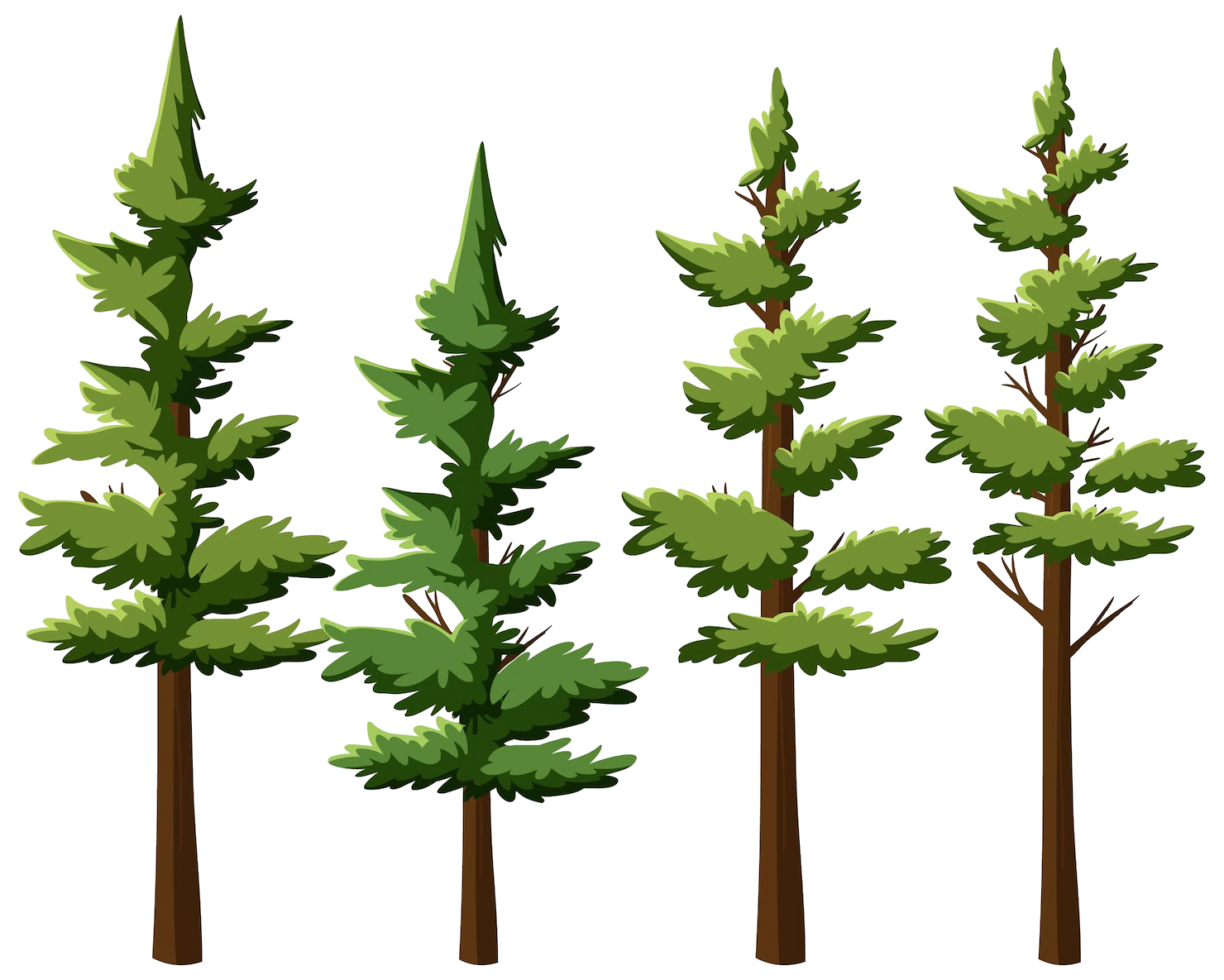 Vector pine tree illustration, pine trees png, pine tree png icon, pine forest png transparent, pine tree png free download, cartoon pine tree png, snowy pine tree png