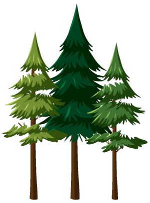 Pine tree png vector, green pine tree png, pine tree png transparent, pine tree png cartoon, pine tree png images, pine tree forest png