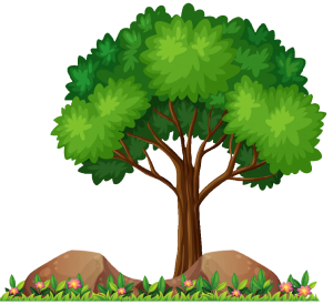 Big tree png, garden tree png, tree illustration, vector tree png, tree design element, nature for decor, tree png for game design, flower garden