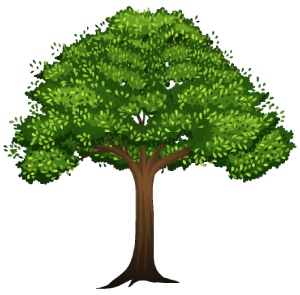 Forest tree png image, tree branch png, plant, plane Tree Family png, garden png, Greenery, Populus nigra Tree Deciduous