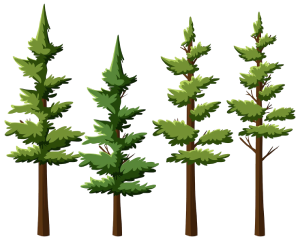Vector pine tree illustration, pine trees png, pine tree png icon, pine forest png transparent, pine tree png free download, cartoon pine tree png, snowy pine tree png