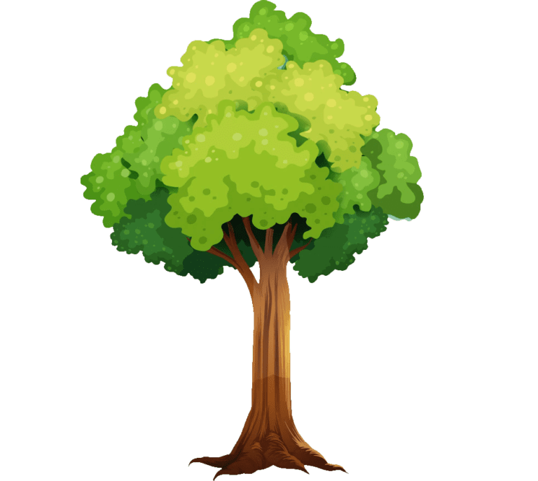 Transparent tree png, large Green Tree, green tree clipart, plant Stem ...