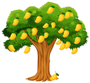 Mango tree png, mango fruit png, mango leaves png, mango cartoon tree ...