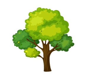 Big tree illustration, tree clipart, plant clipart, green leafed tree, vector tree, big tree transparent, tree branch