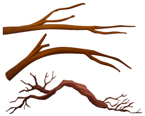 Cartoon tree branch png, tree branch clipart, tree wood png, tree branch png transparent, tree branch png hd, tree branch png vector, real tree branch png, tree branch png free download